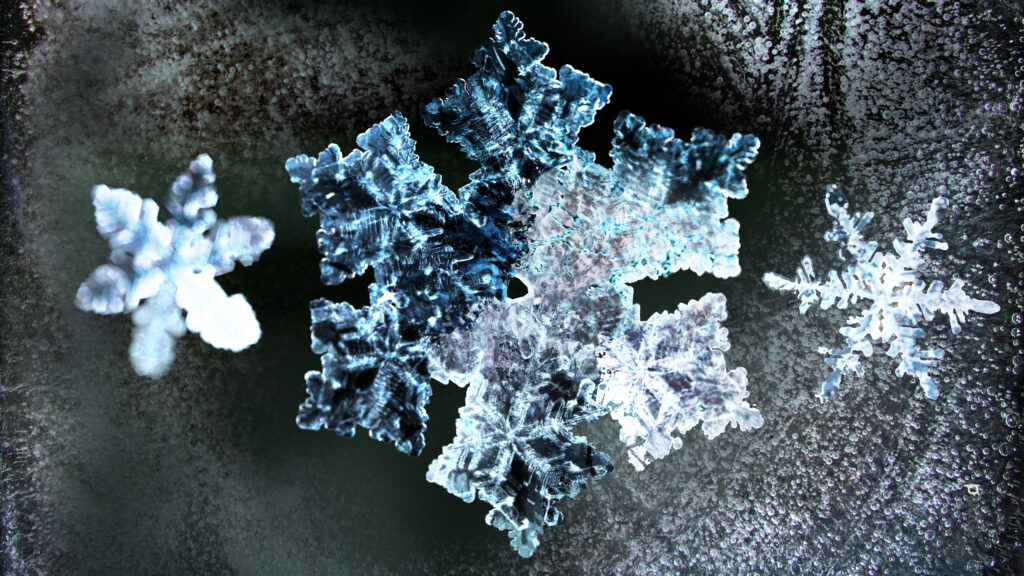 2026_SNOWFLAKES_formd_3840x2160px_300dpi_006