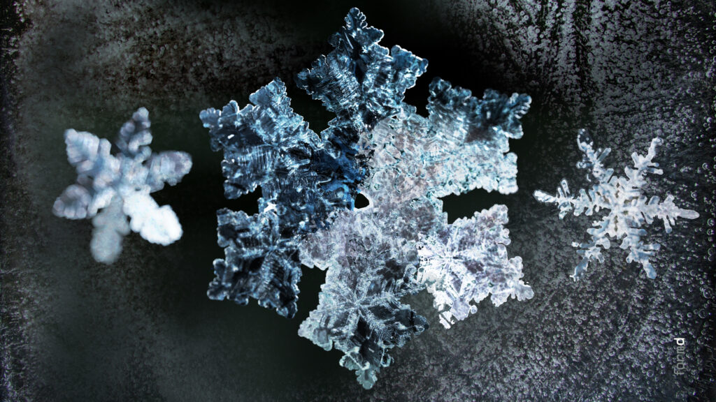 2026_SNOWFLAKES_formd_3840x2160px_300dpi_008