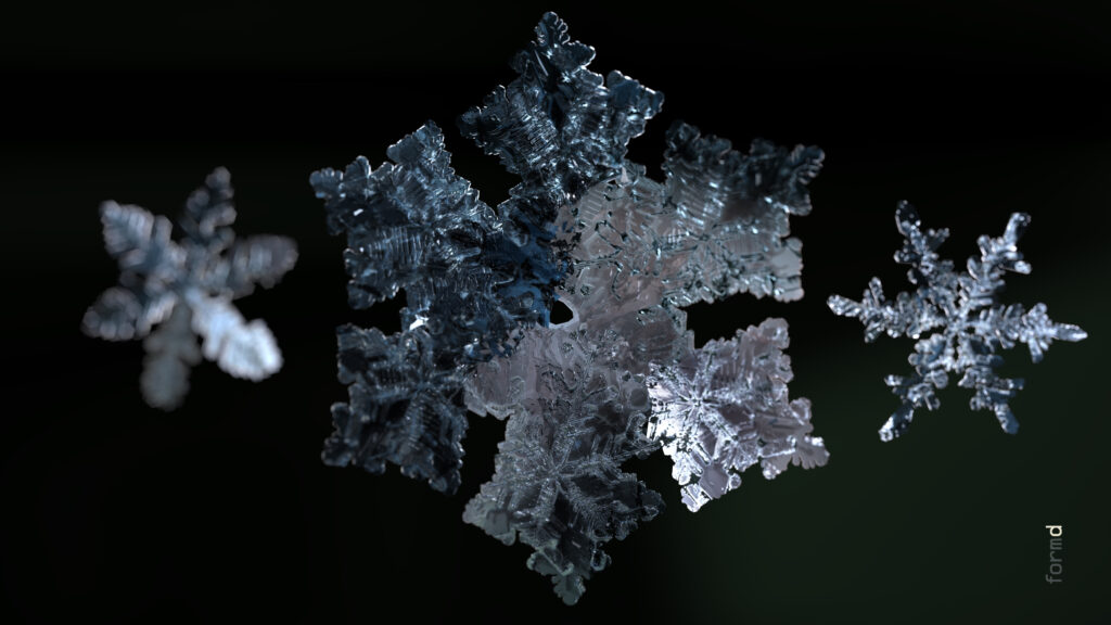 2026_SNOWFLAKES_formd_3840x2160px_300dpi_009