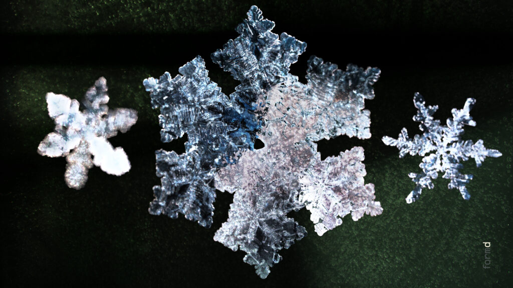 2026_SNOWFLAKES_formd_3840x2160px_300dpi_011