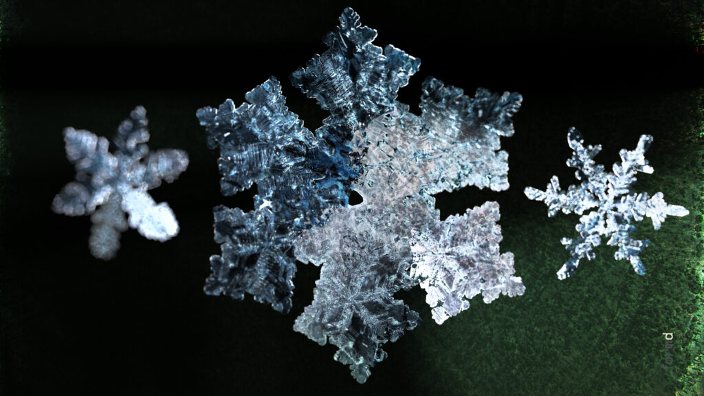 2026_SNOWFLAKES_formd_3840x2160px_300dpi_012