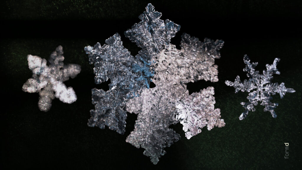 2026_SNOWFLAKES_formd_3840x2160px_300dpi_015