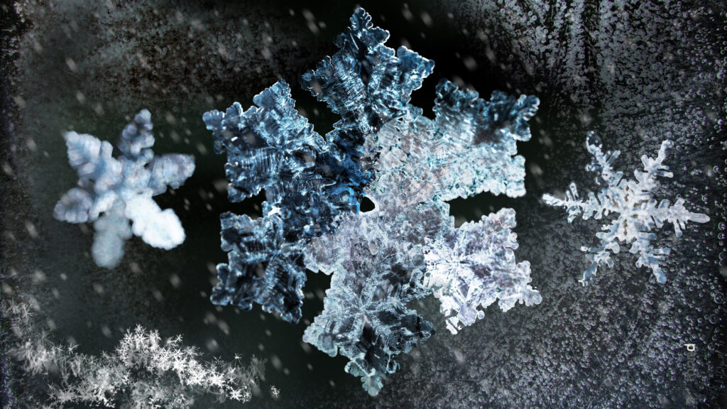 2026_SNOWFLAKES_formd_3840x2160px_300dpi_019
